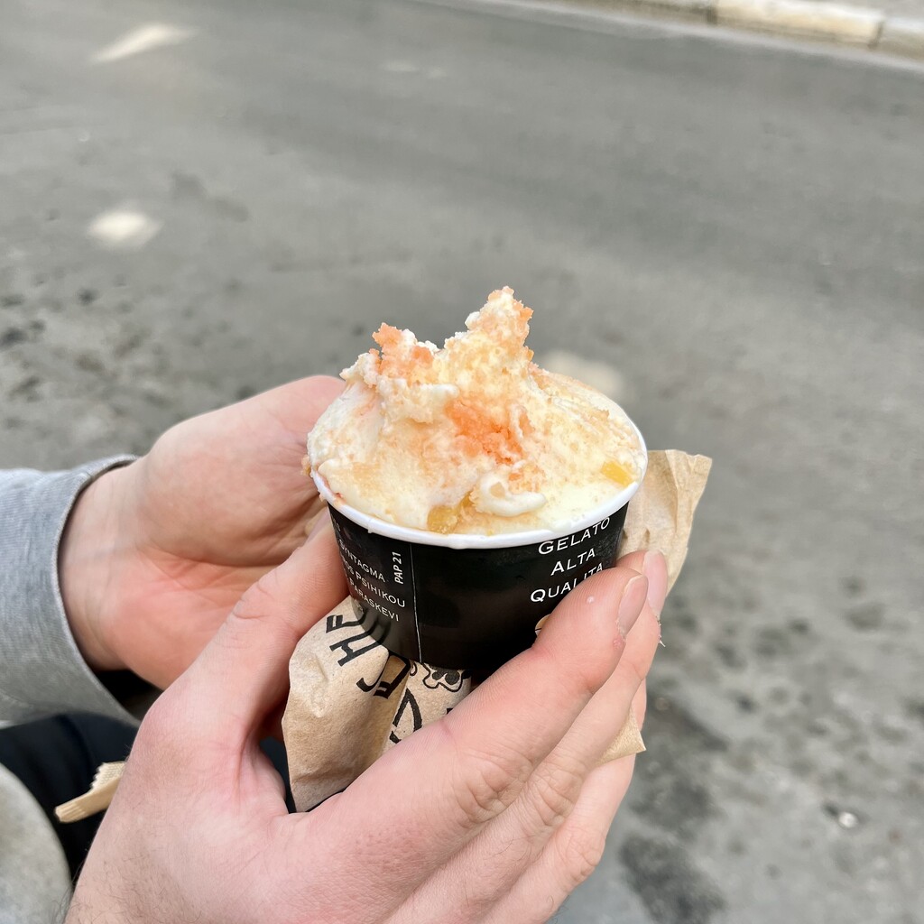 A cup of ricotta gelato from Le Greche.